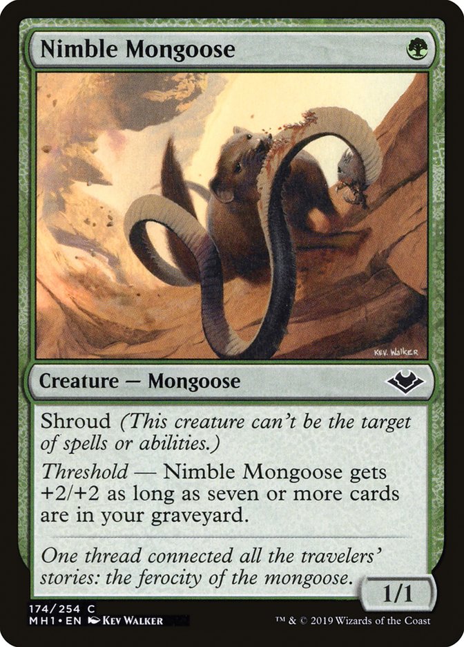 Nimble Mongoose [Modern Horizons] | A1Comics