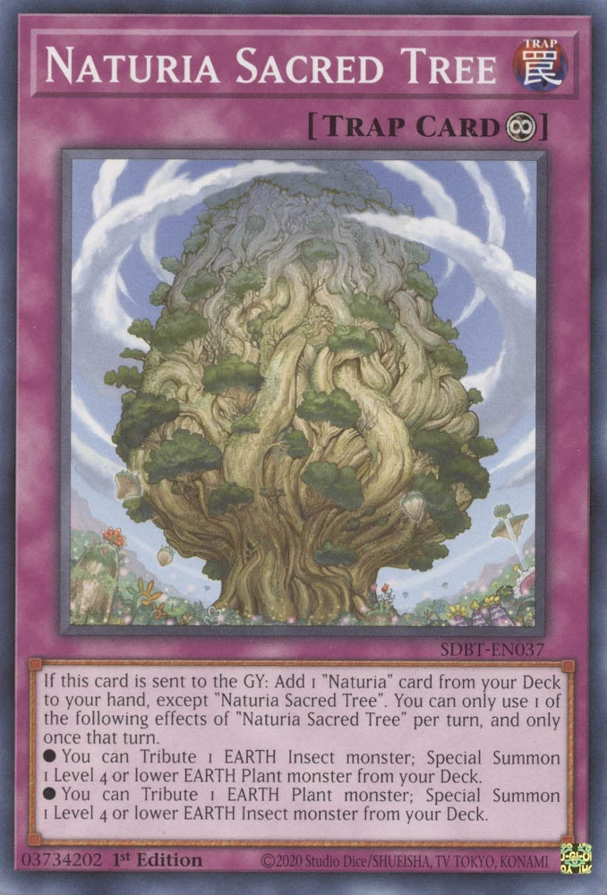 Naturia Sacred Tree [SDBT-EN037] Common | A1Comics