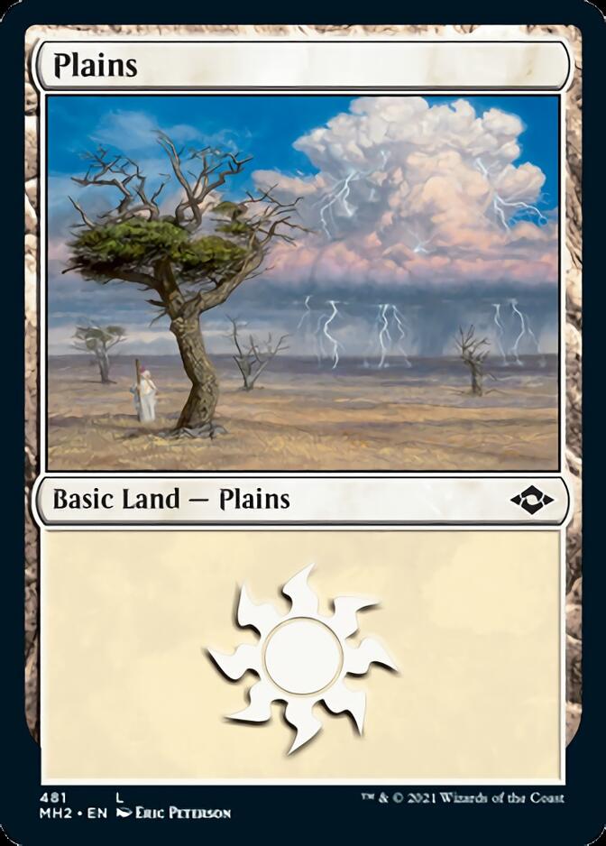 Plains (481) (Foil Etched) [Modern Horizons 2] | A1Comics