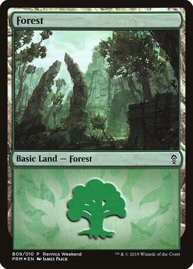 Forest (B08) [Ravnica Allegiance Guild Kit] | A1Comics