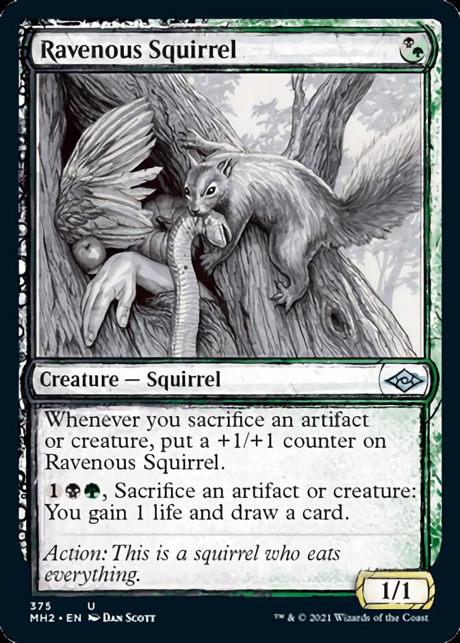 Ravenous Squirrel (Sketch) [Modern Horizons 2] | A1Comics