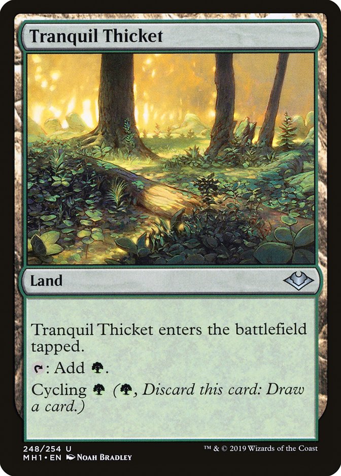 Tranquil Thicket [Modern Horizons] | A1Comics