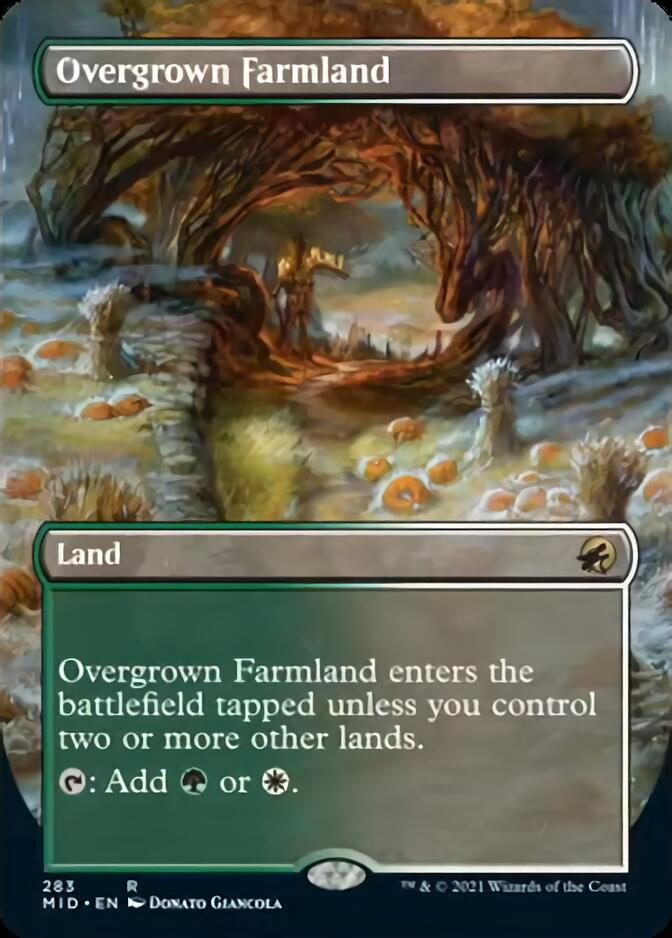 Overgrown Farmland (Borderless Alternate Art) [Innistrad: Midnight Hunt] | A1Comics