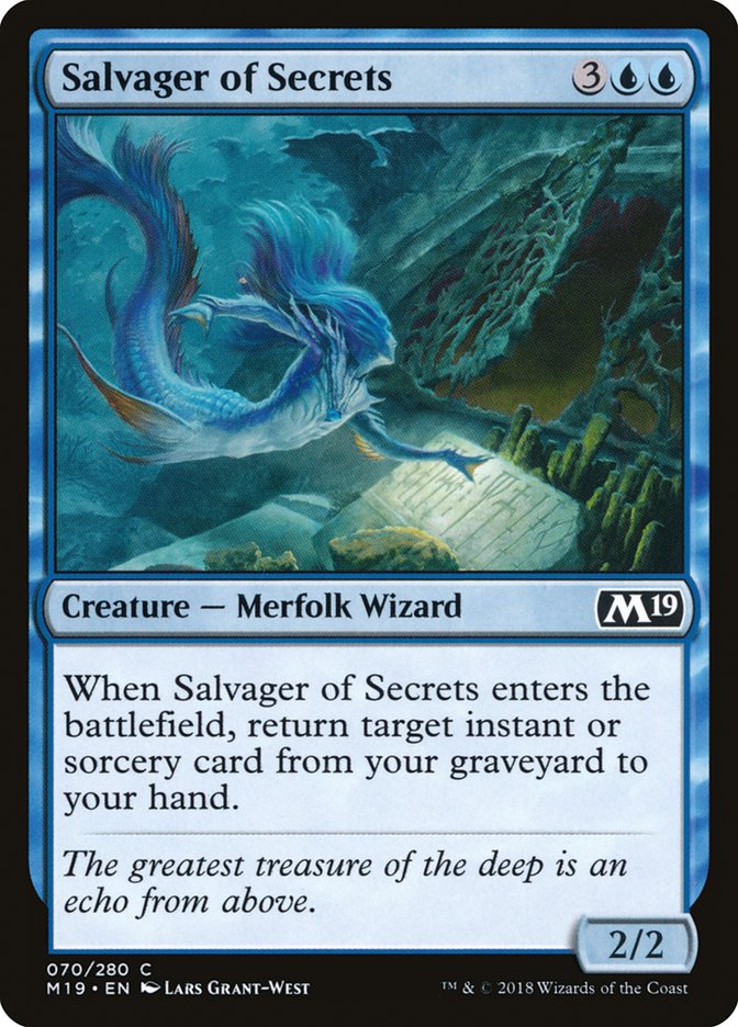 Salvager of Secrets [Core Set 2019] | A1Comics