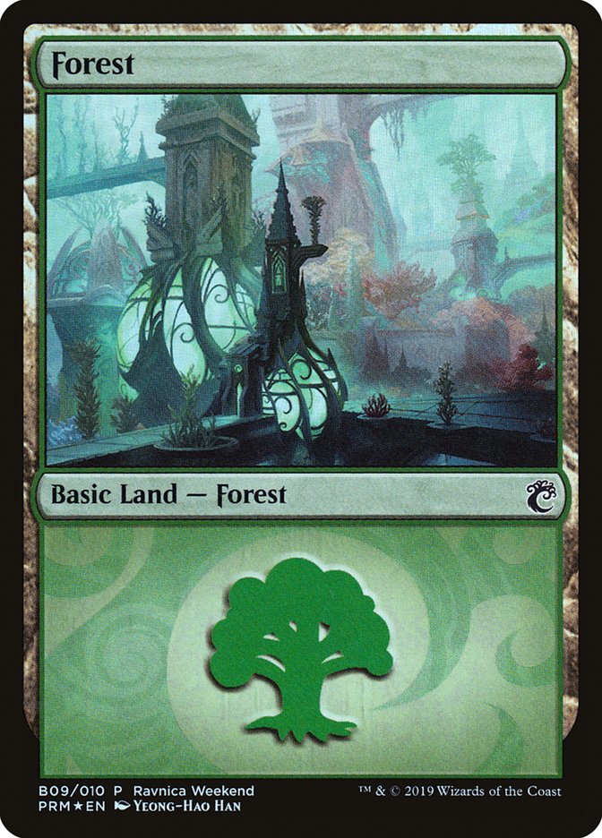 Forest (B09) [Ravnica Allegiance Guild Kit] | A1Comics