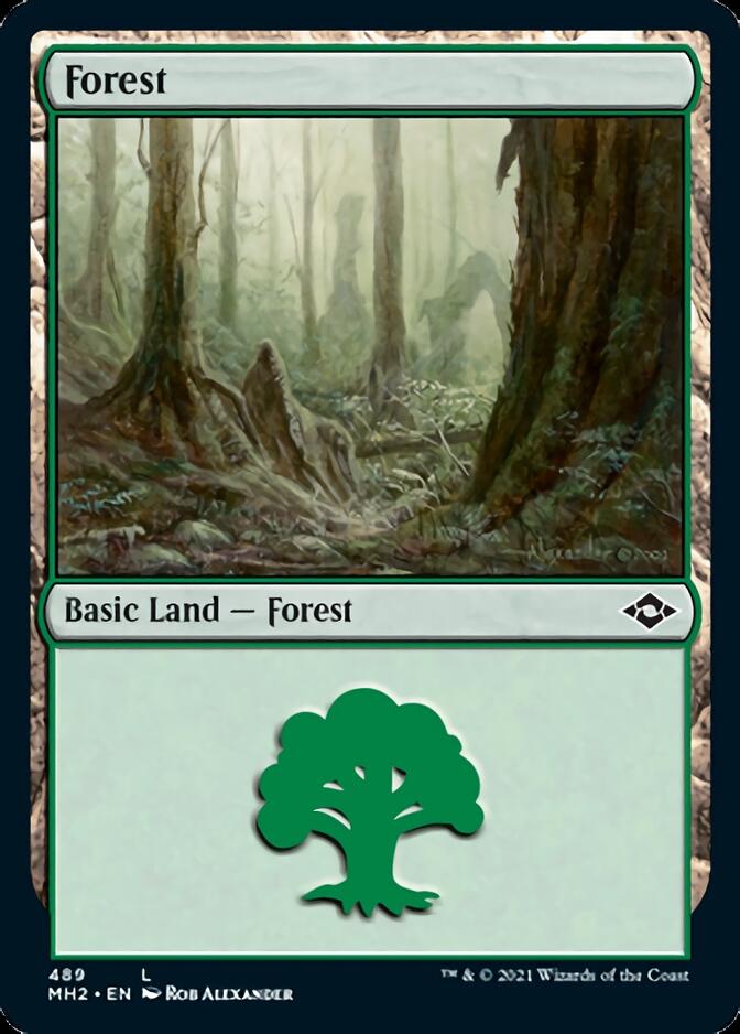 Forest (489) (Foil Etched) [Modern Horizons 2] | A1Comics